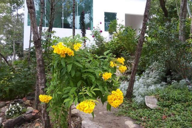 Morada Dos Elfos Villa Vale do Capao Ngoại thất bức ảnh